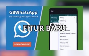 FITUR BARU GBWHATSAPP